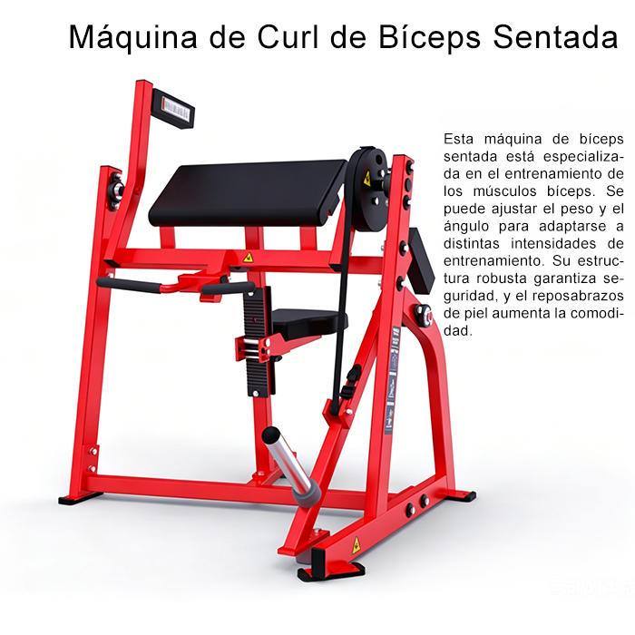 Máquina de curl de bíceps sentado